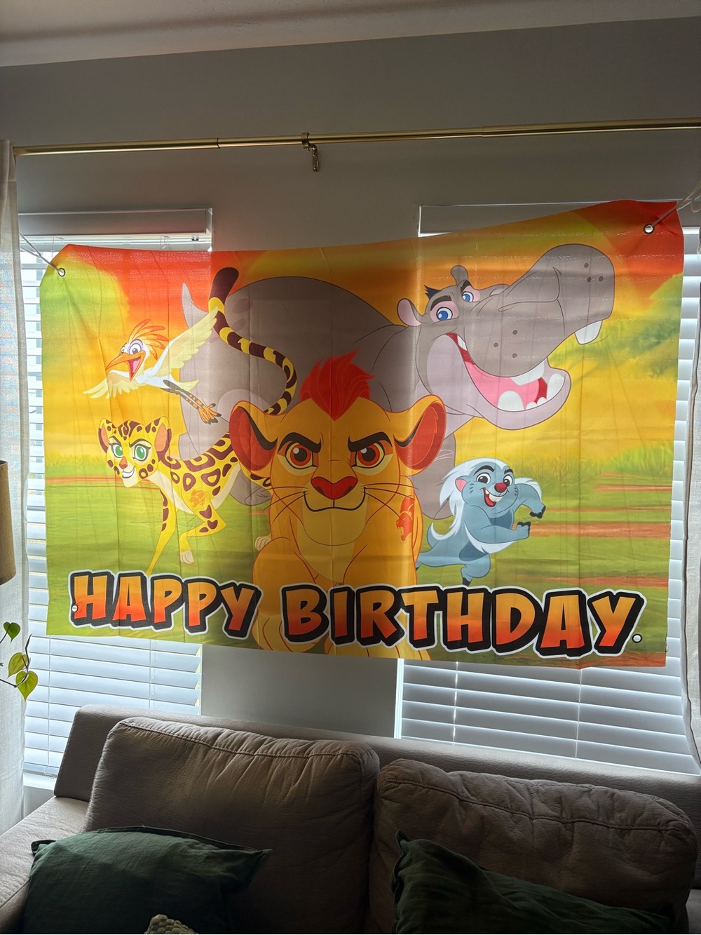 Lion Guard birthday decor- 5 pc set